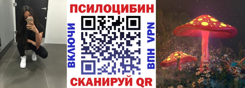 OMG рабочий сайт  Данков  Псилоцибиновые грибы GOLDEN TEACHER 
